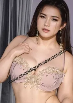 elite chandigarh Escort